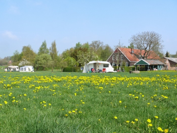 Caravan in veld met bloemen op afstand