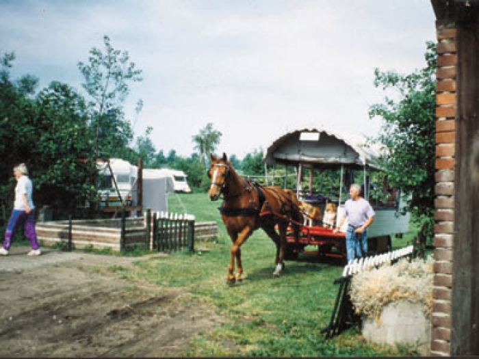 huifkar met paard