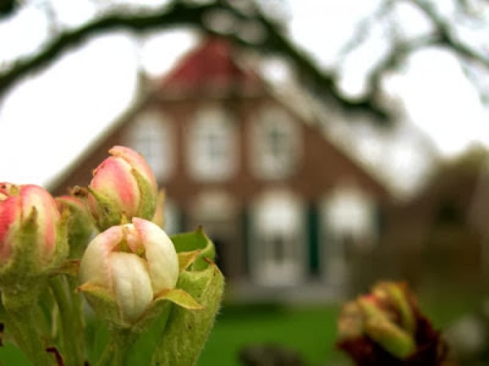 de boerderij onscherp