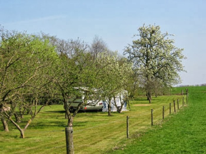 caravan in boomgaard